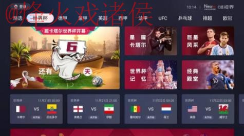 官方渠道下载世界杯直播APP